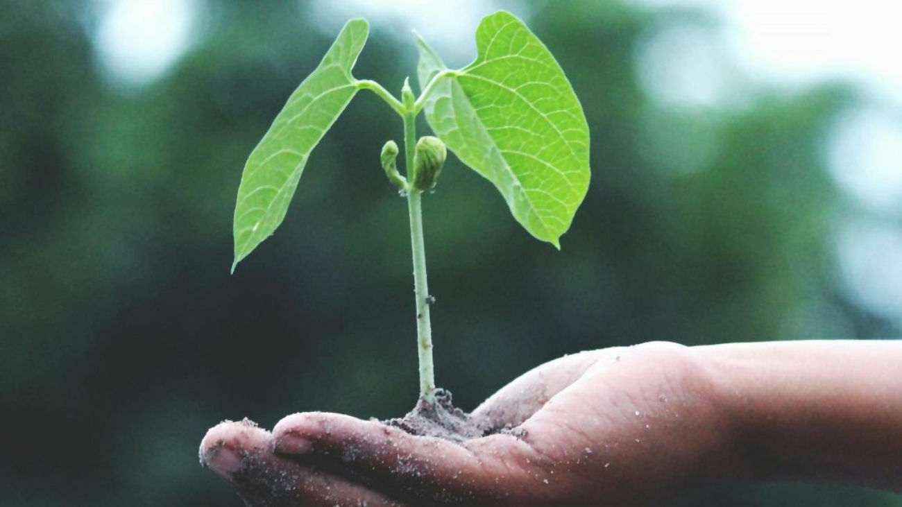 Design sans titre (4)