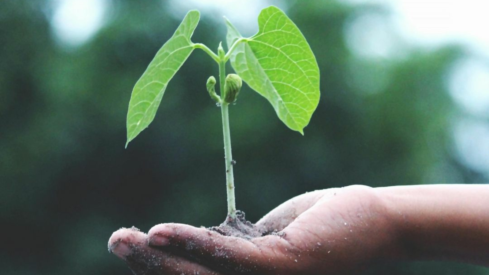 Design sans titre (4)