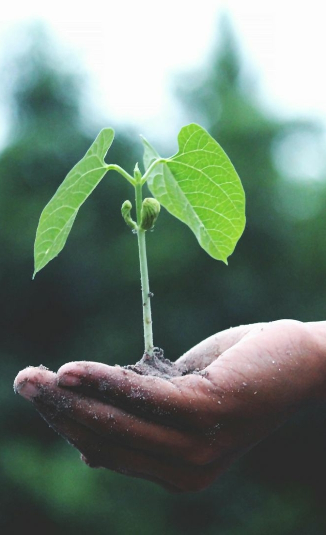 Design sans titre (4)